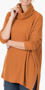 Cowel Neck Plush Sweater