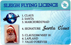 Santas Sleigh Flying License